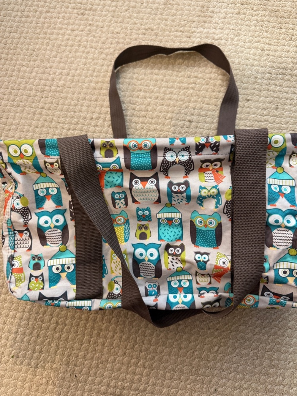 Owl Print Canvas Tote Bag in Teal + Aqua